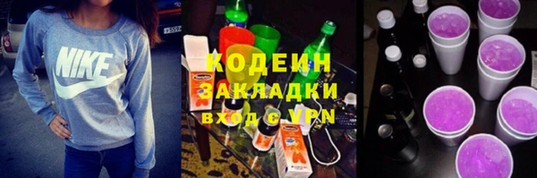 сатива Новозыбков