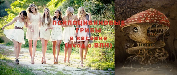 хмурый Нея