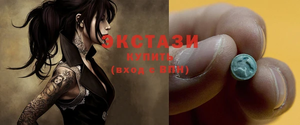 сатива Новозыбков