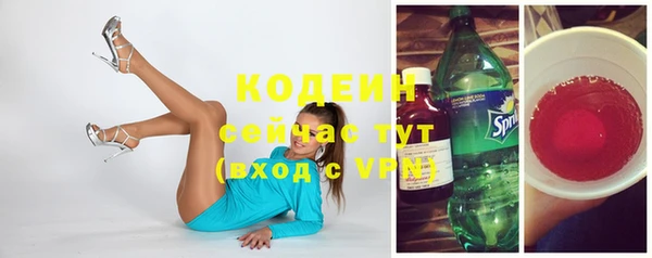 хмурый Нея