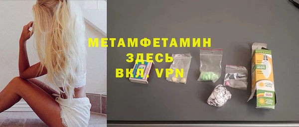 сатива Новозыбков