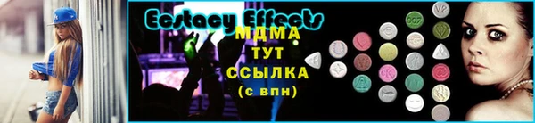 сатива Новозыбков