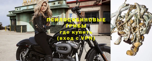 мдпв Нефтегорск