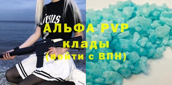 хмурый Нея