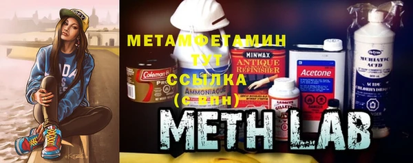 сатива Новозыбков