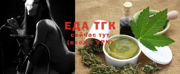 сатива Новозыбков