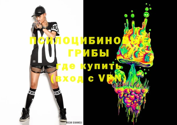 сатива Новозыбков