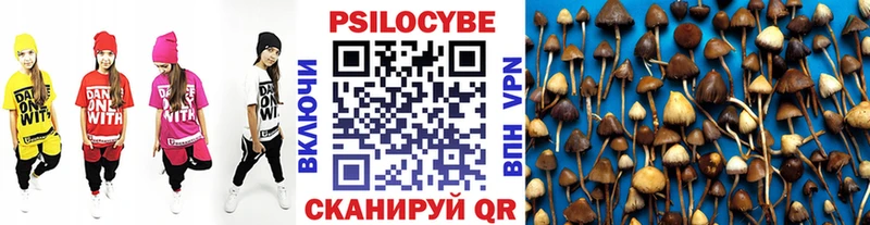 купить наркоту  Балабаново  Галлюциногенные грибы Psilocybe 