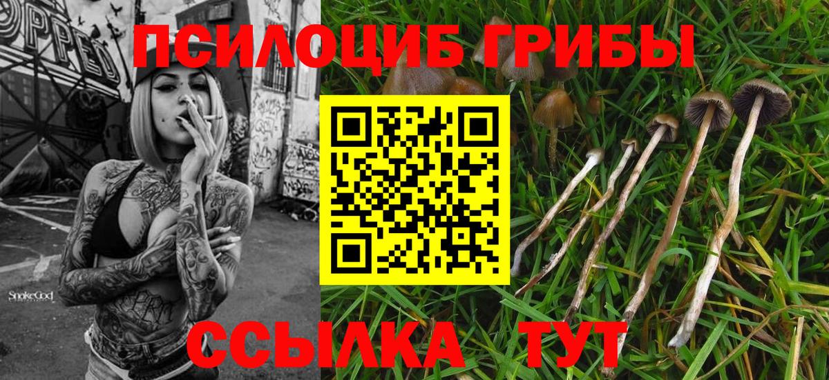 Псилоцибиновые грибы MAGIC MUSHROOMS  Вход с VPN  Балабаново 