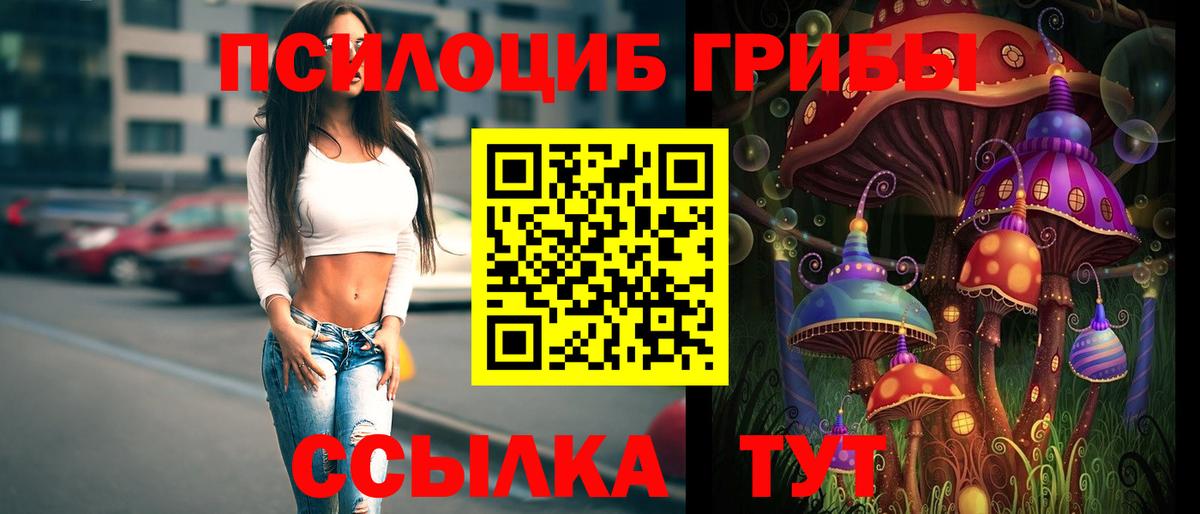 Псилоцибиновые грибы мицелий  Балабаново 